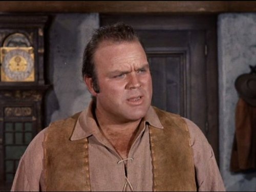 The character Hoss from the show Bonanza